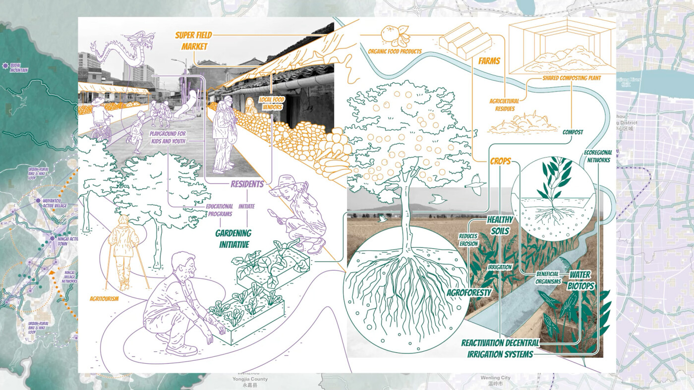 Pastedgraphic 5